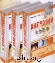 新編礦產(chǎn)企業(yè)會計(jì)實(shí)務(wù)全書