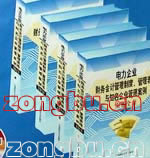 電力企業(yè)財(cái)務(wù)會(huì)計(jì)管理制度、管理表格與知名企業(yè)管理案例實(shí)務(wù)全書