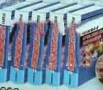 現(xiàn)代船舶企業(yè)生產(chǎn)組織、優(yōu)化設(shè)計(jì)、進(jìn)度控制與科學(xué)管理及標(biāo)準(zhǔn)規(guī)范實(shí)務(wù)全書(shū)