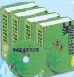 美術(shù)設(shè)計藝術(shù)全書